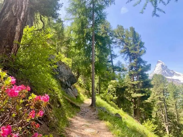 Place For Relax - Matterhorn View *